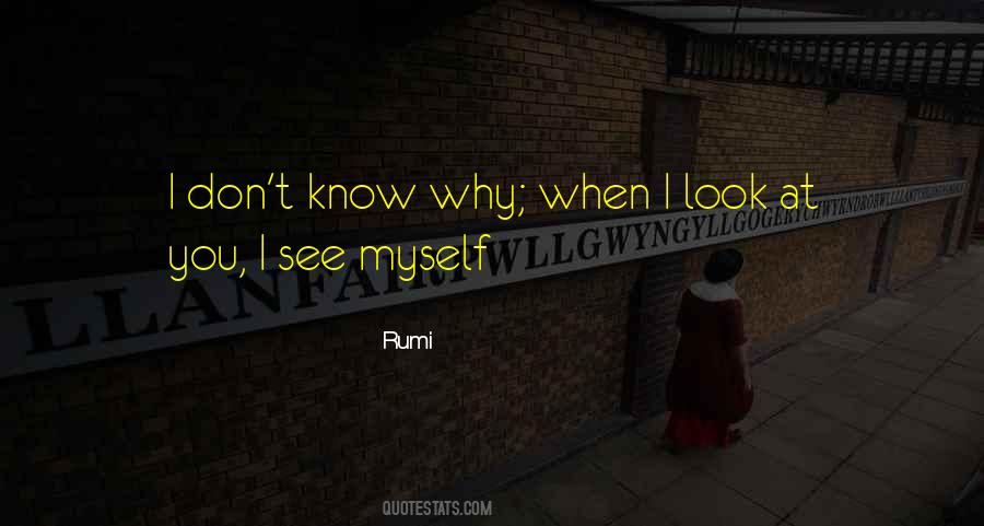 When I Look At You I See Quotes #1266751