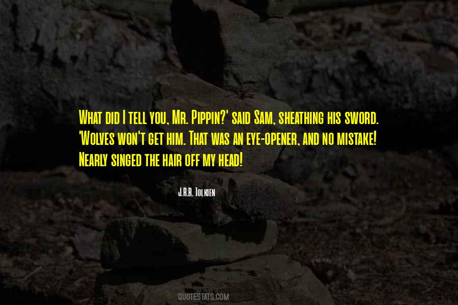 Quotes About Opener #34357