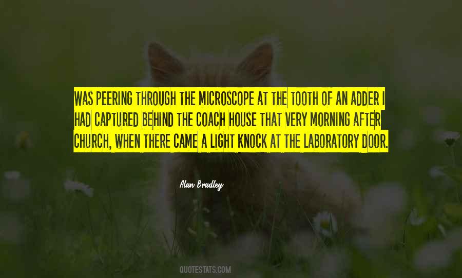 Quotes About Tooth #1007756