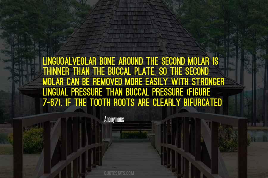Quotes About Tooth #1232490