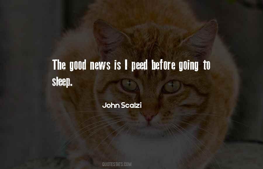Quotes About Going To Sleep #1142536