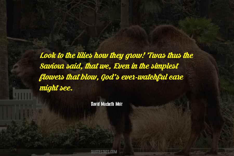 Flowers God Quotes #1575247