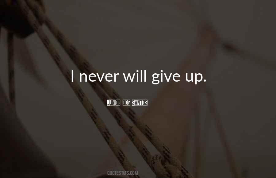 I Will Never Give Up Quotes #557731