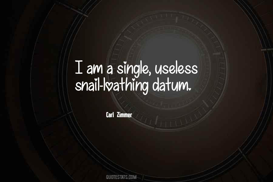 Am Useless Quotes #1139405