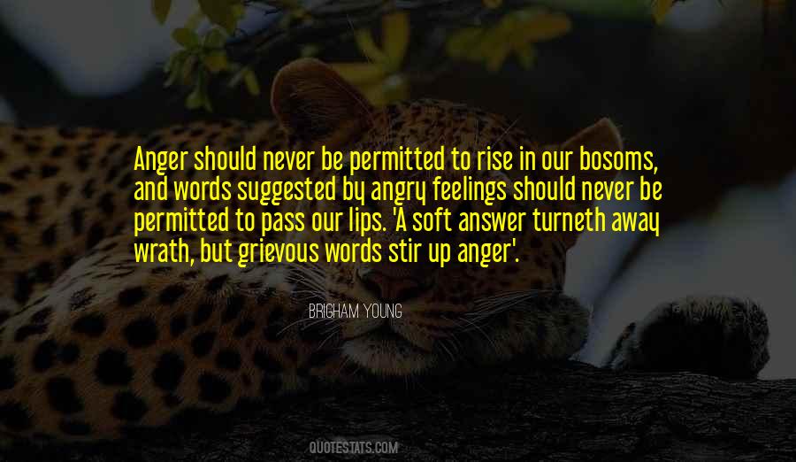 Quotes For Angry Young Man #841997
