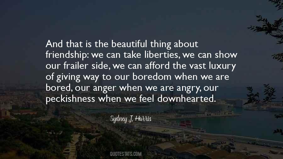Beautiful Friendship Quotes #468307