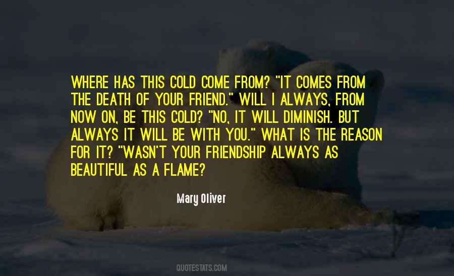 Beautiful Friendship Quotes #478484