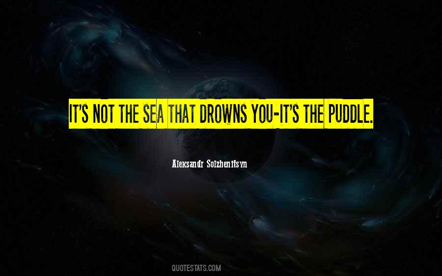 Water Puddles Quotes #819735