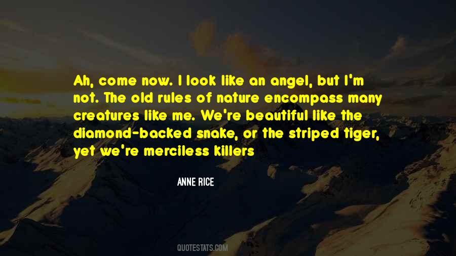 Angel Not Quotes #31608