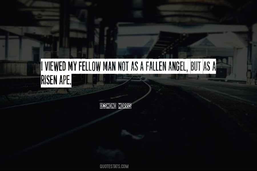 Angel Not Quotes #97583