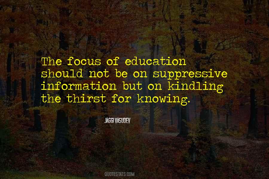 Focus On Love Quotes #723180