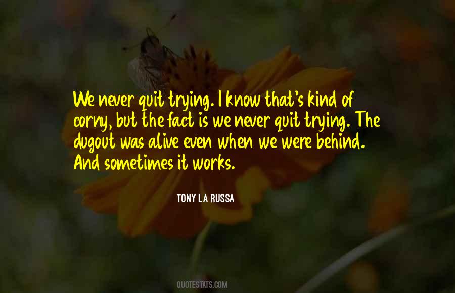 Not Corny Quotes #631624