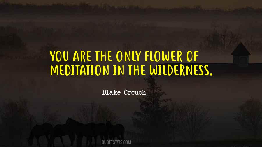 Meditation In Quotes #1800332