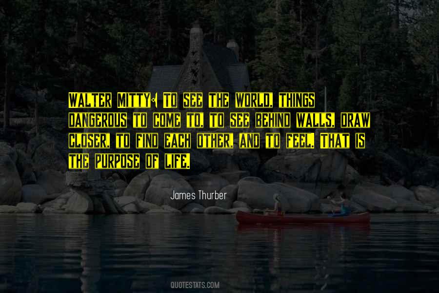 Secret Life Of Walter Mitty Quotes #468129