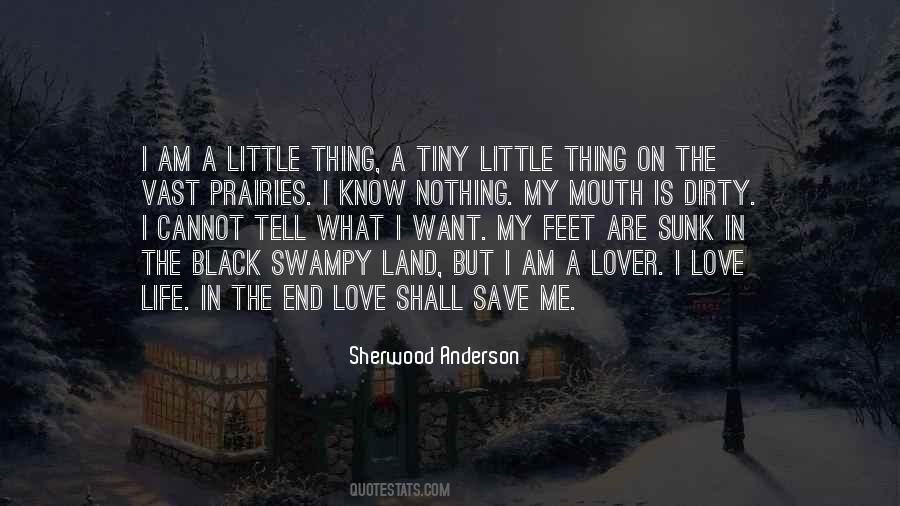 Vast Love Quotes #317773