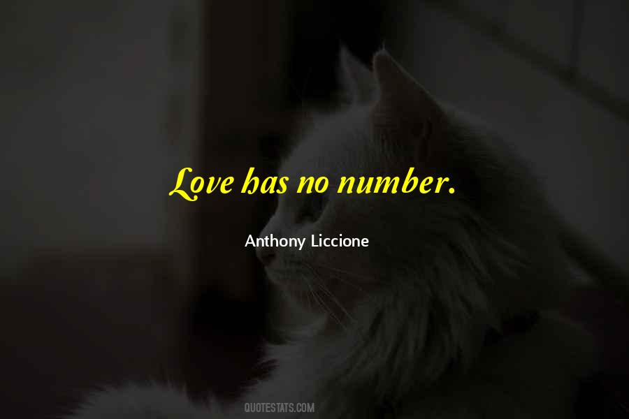 Vast Love Quotes #410662