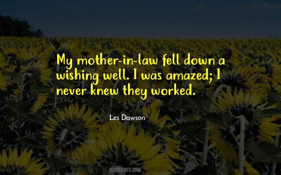 Quotes For Mother In Law #401893