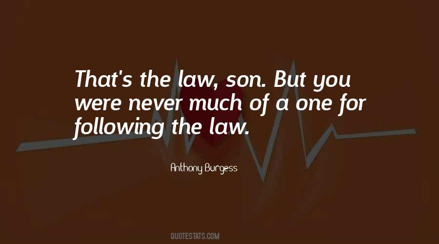 Quotes For My Son In Law #1075777