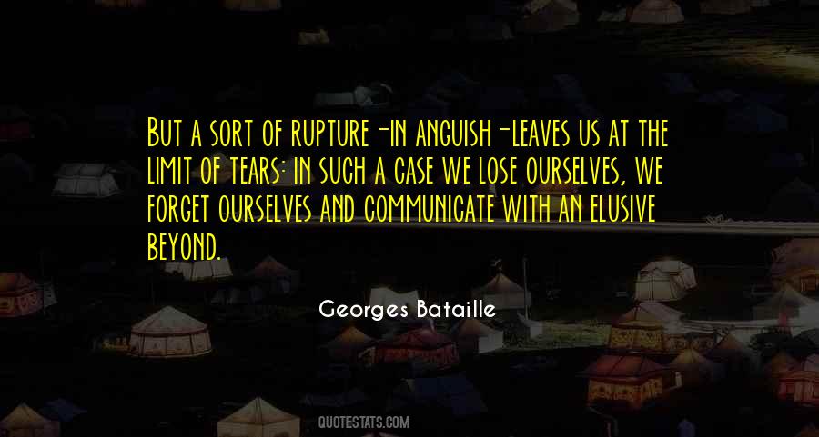 Something Elusive Quotes #28659