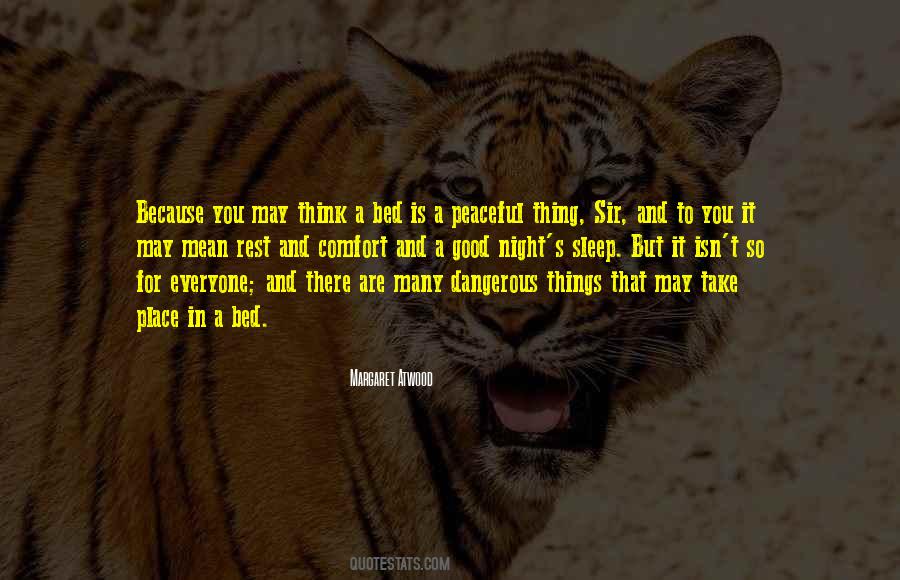 Dangerous Things Quotes #377478