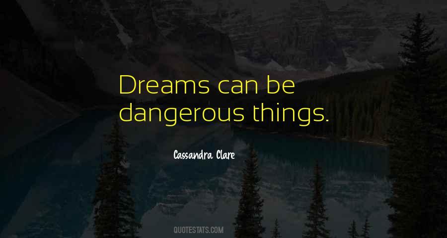 Dangerous Things Quotes #474080