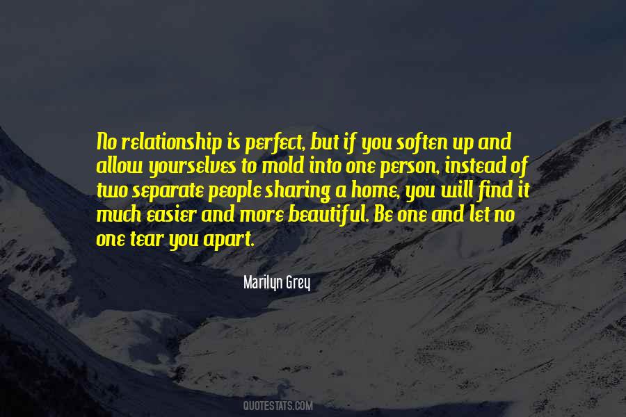 No Relationship Is Perfect Quotes #663979