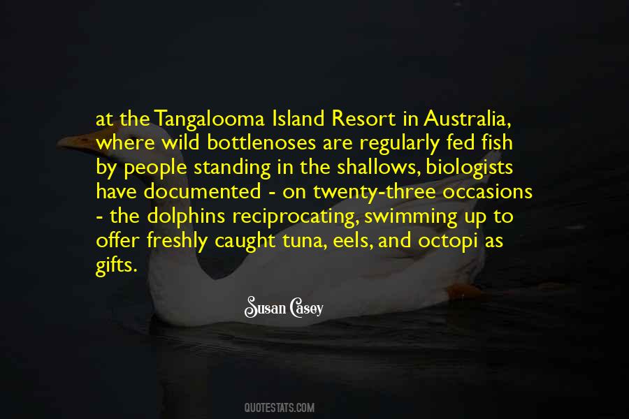 Quotes About Octopi #1522383