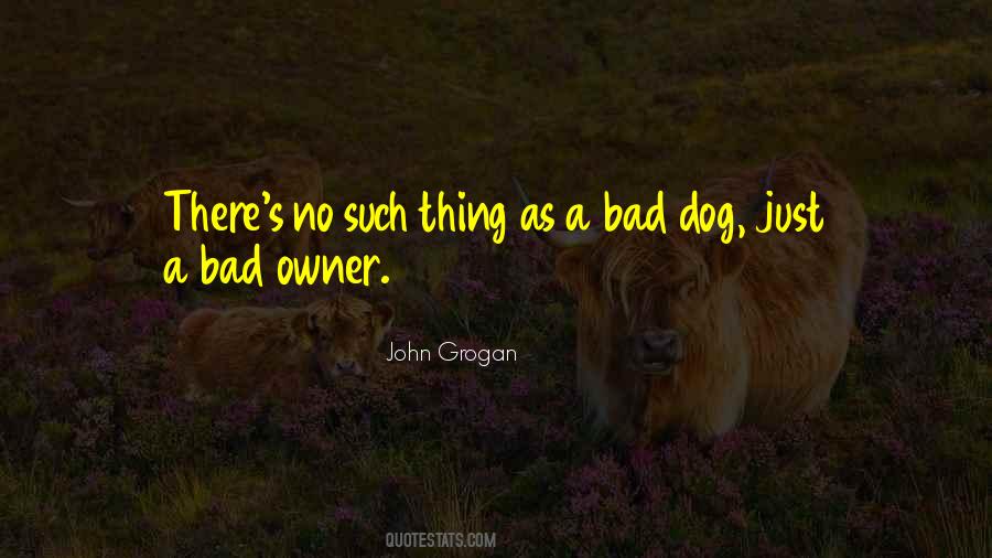 Dog And Dog Owner Quotes #361627