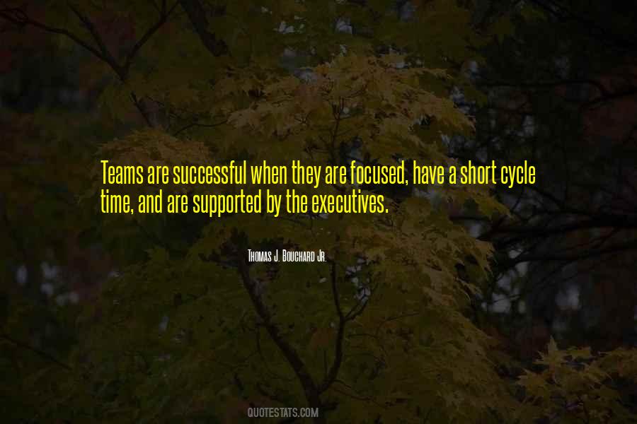 Quotes For Successful Teamwork #749131