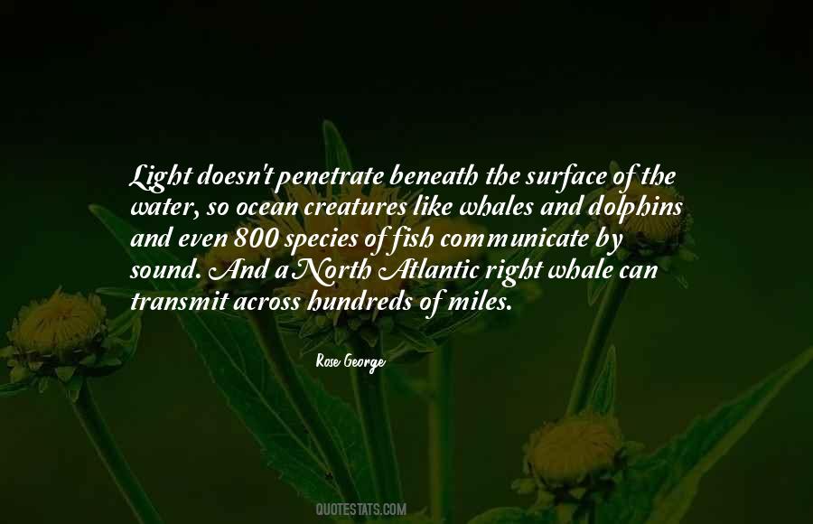 Quotes About Ocean Creatures #1003458 Quotes About Ocean Creatures #1003458