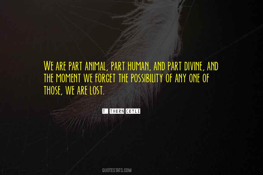 Quotes For Those We've Lost #1760061