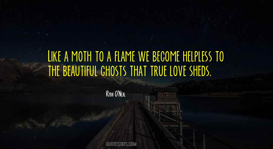 Moth To The Flame Quotes #255408