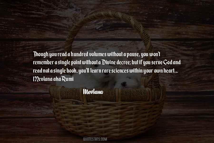 Book Within A Book Quotes #1421629