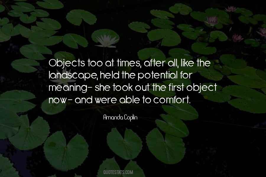 Quotes About Objects With Meaning #826640