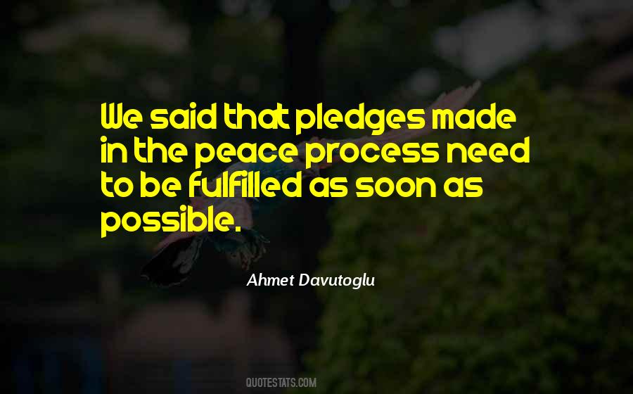 Peace Process Quotes #1778023