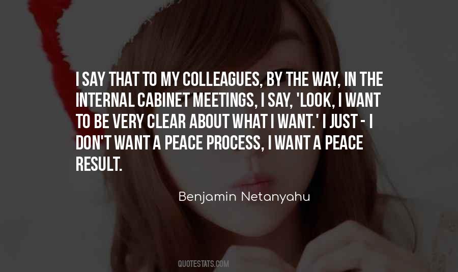 Peace Process Quotes #912290