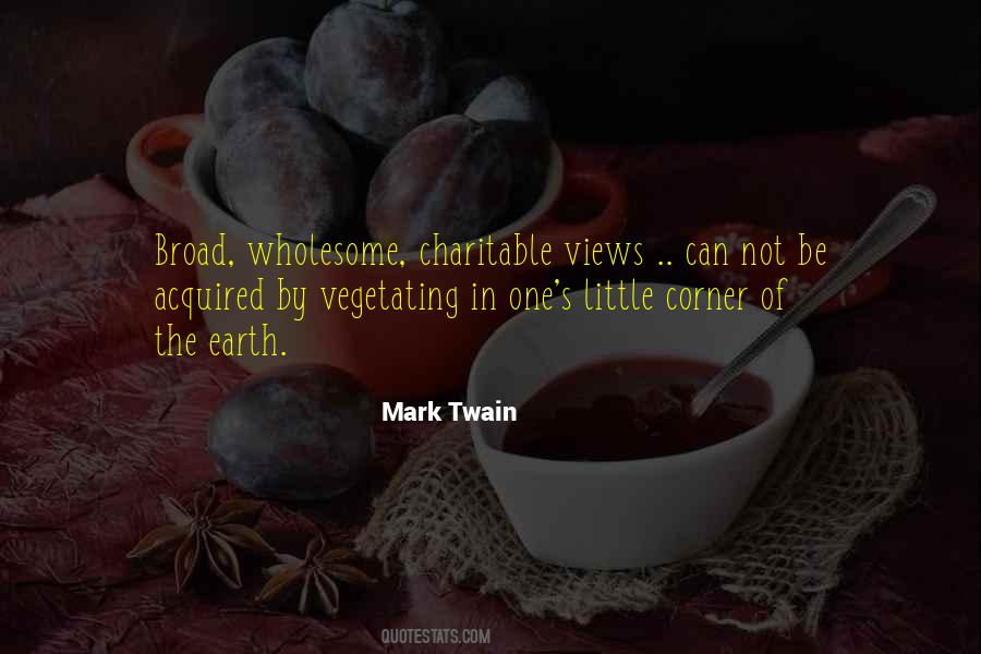 Quotes On Adventure By Mark Twain #1809287
