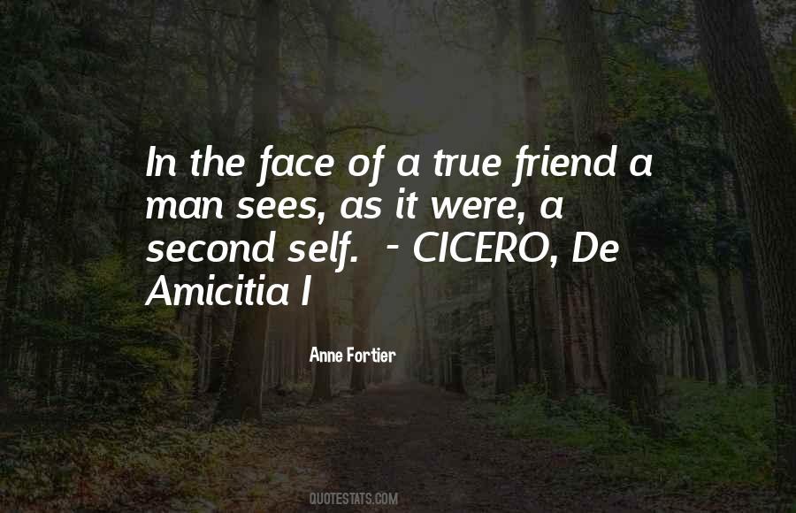 De Amicitia Quotes #1179851