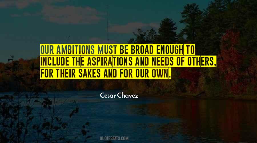 Quotes On Ambitions And Aspirations #885706