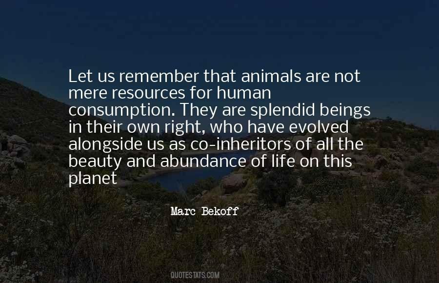 Quotes On Animals Beauty #1095198