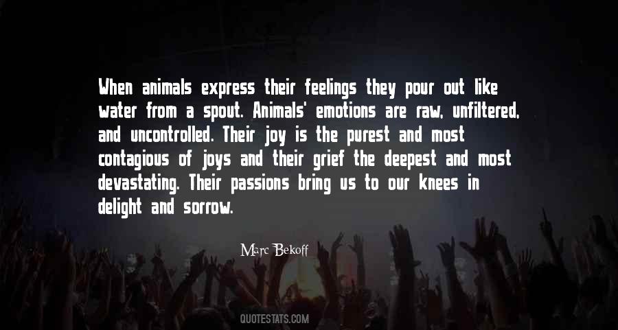 Quotes On Animals Have Feelings #1672620