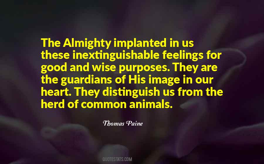 Quotes On Animals Have Feelings #731855