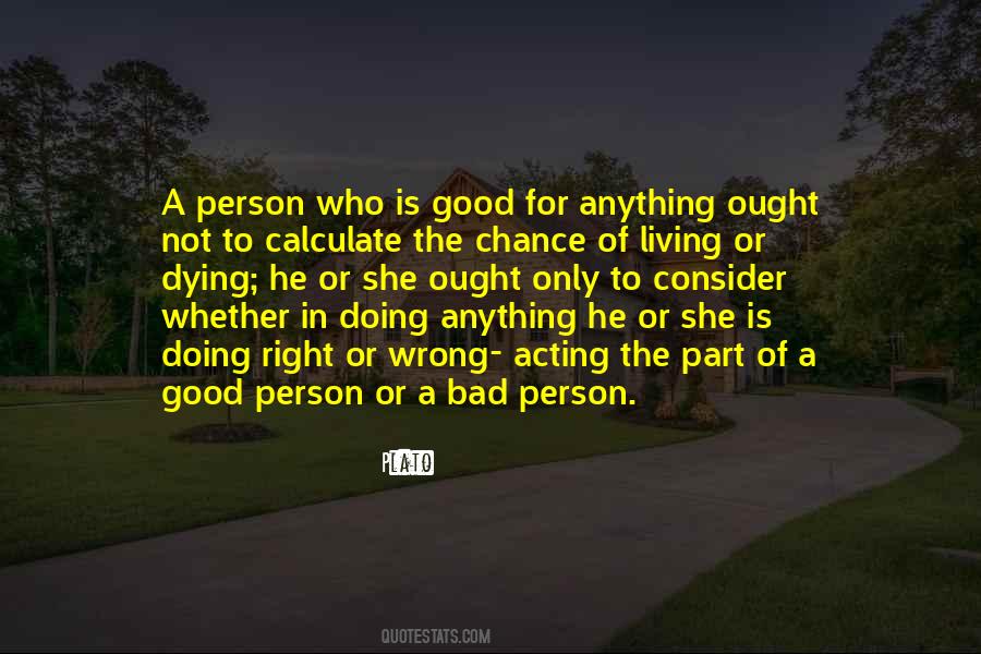 Quotes On Bad Person #1866195