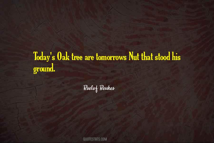 Quotes About Oak #1064370