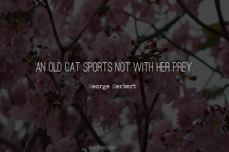 Quotes On Cat #1768382