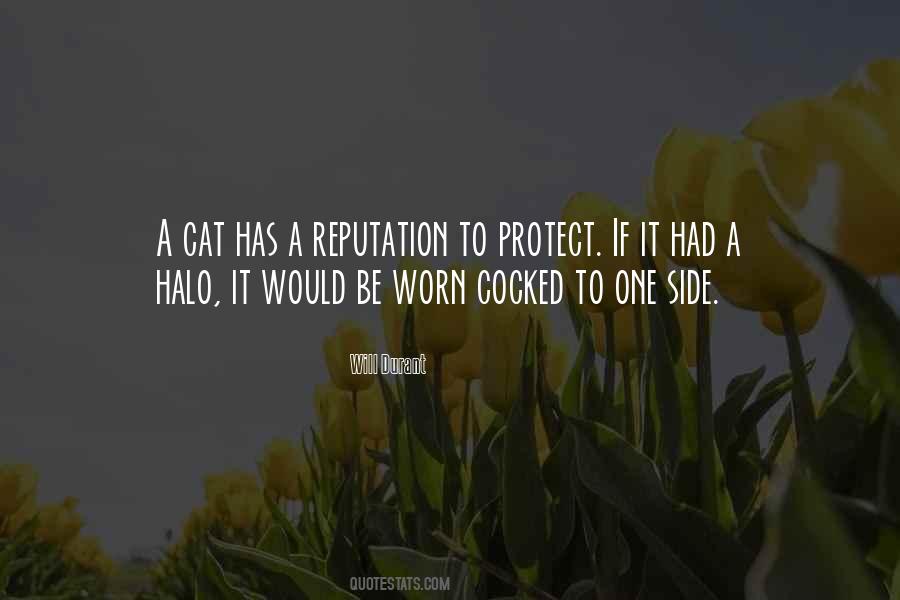 Quotes On Cat #1780360