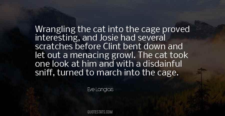 Quotes On Cat #1850528