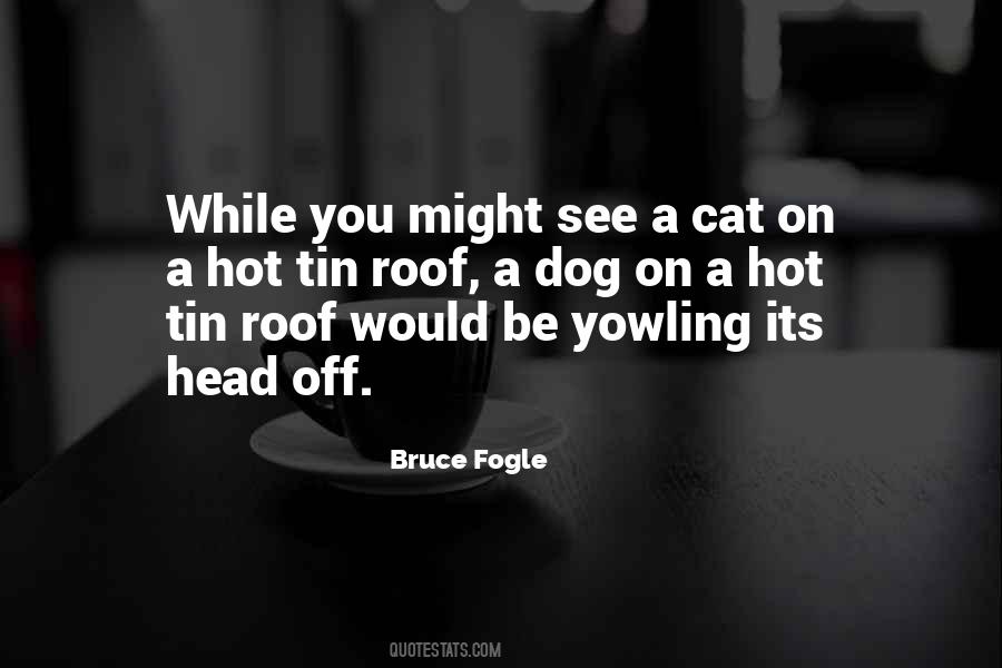 Quotes On Cat On A Hot Tin Roof #193473