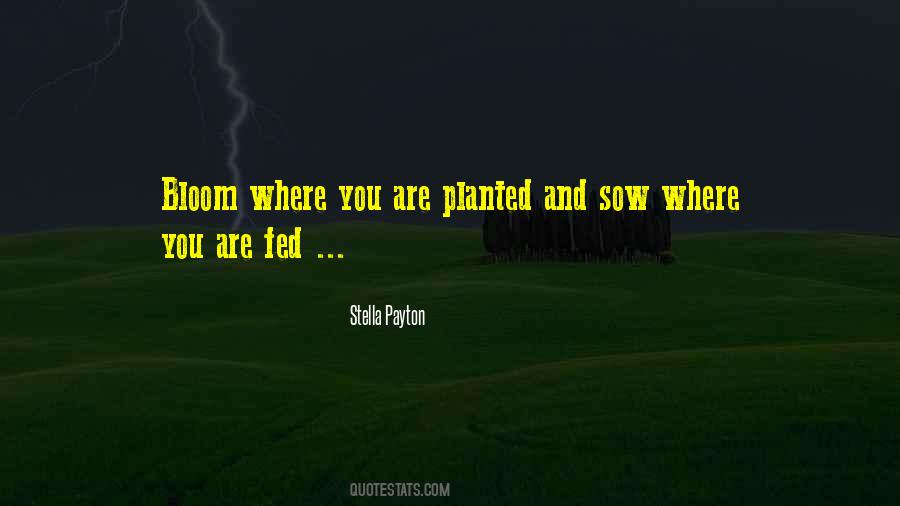 Bloom Where Planted Quotes #1185215