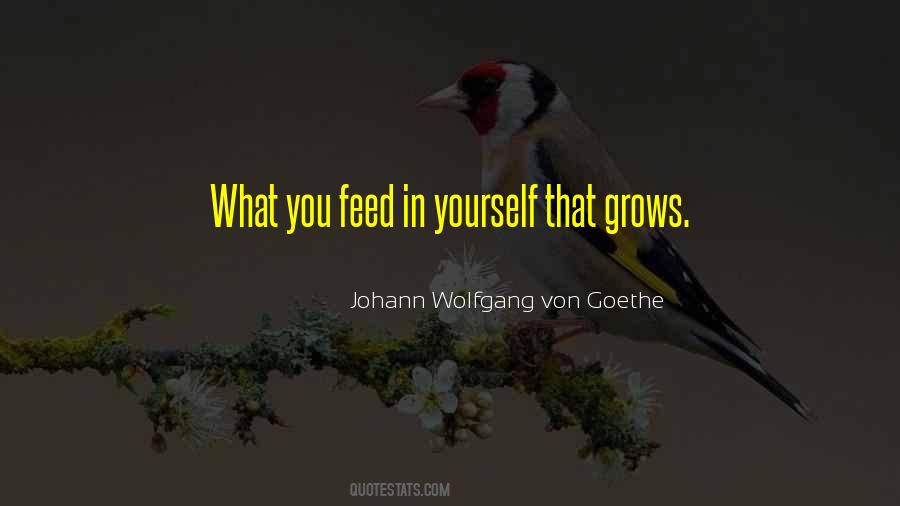 Feed Yourself Quotes #647509